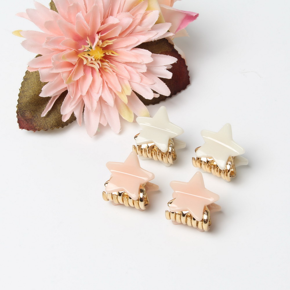 Women's Acrylic Mini Hair Claws Set